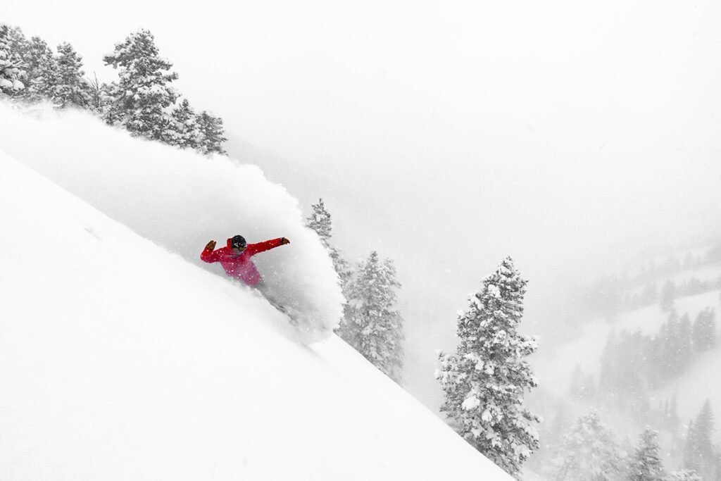 Powder Mountain skiing