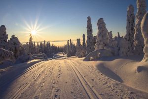 try cross country skiing or gentler slopes when returning to skiing after an injury