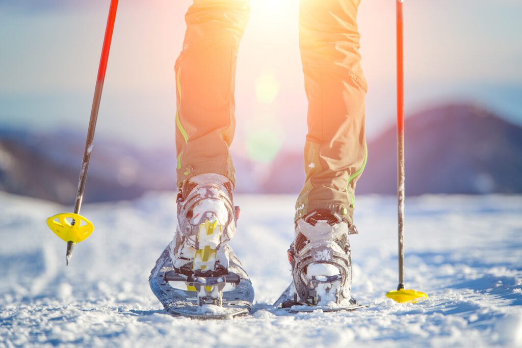 Skis with hard snow baskets are best for flatter surfaces like cross-country trails. 