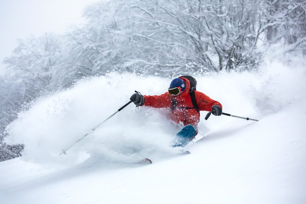 If you want to ski on a powder day, try backcountry poles that have thicker shafts to handle the deep snow. 