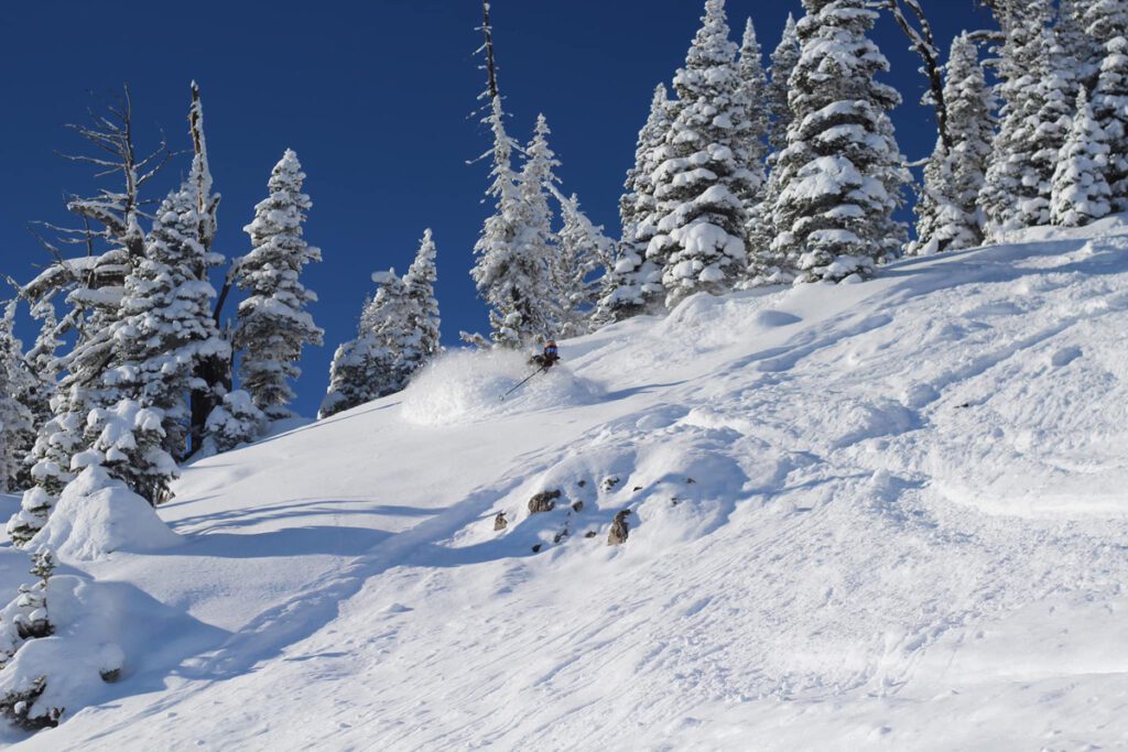 Skiing powder in Montana