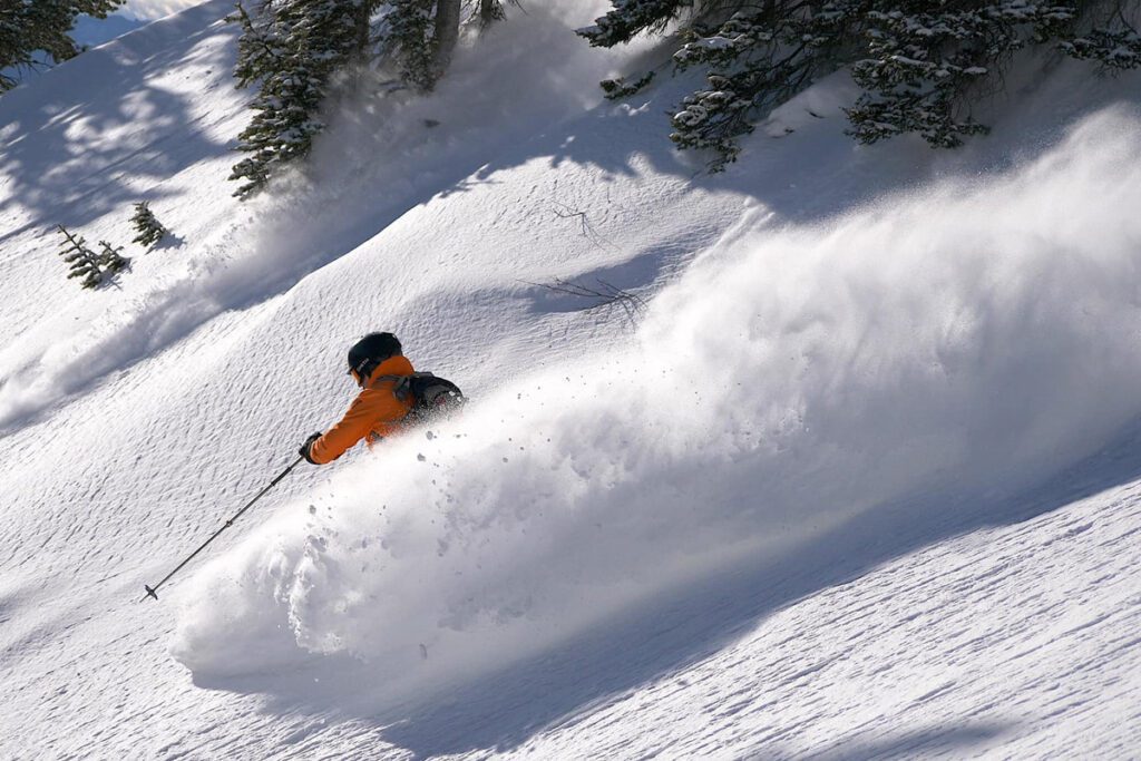 Skiing powder at Bridger Bowl in Montana.