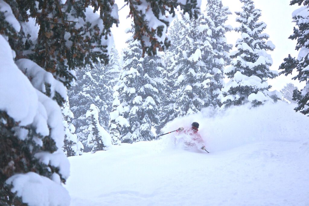 A man skis in deep snow at Alta