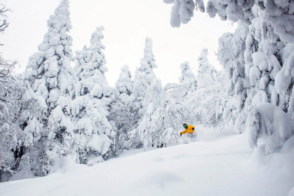 A man skis fresh powder at Jay Peak in Vermont