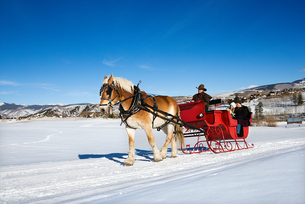sleigh rides activities